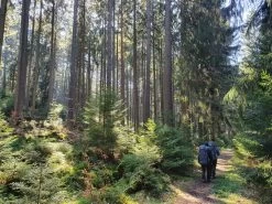 FJÄLLRÄVEN Kajka 75 - Walking Backpack -Camping Discount Store fjaellraeven kajka 75 trekkingrucksack 1c507515565e368a5f36dee585efcd24 1