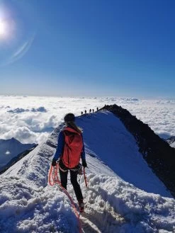 SALEWA Ortles Wall 32 - Mountaineering Backpack -Camping Discount Store salewa ortles wall 32 tourenrucksack f3492028f924b97ab35e266193813f32 1