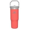 Stanley The Iceflow Flip Straw Tumbler - Insulated Mug
